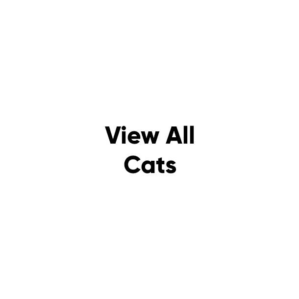 View All